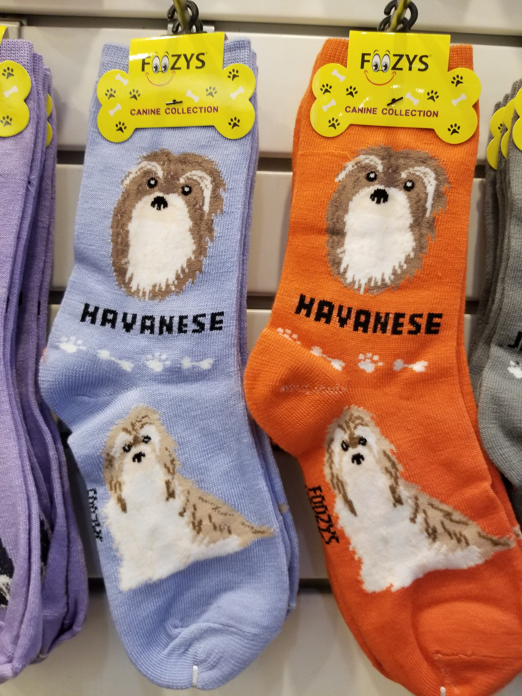 Dog Socks Havanese