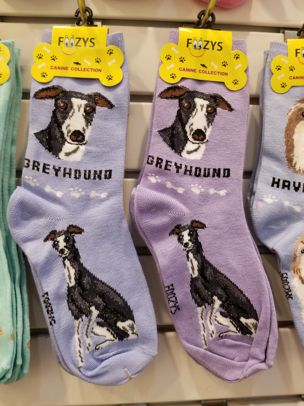 Dog Socks Greyhound