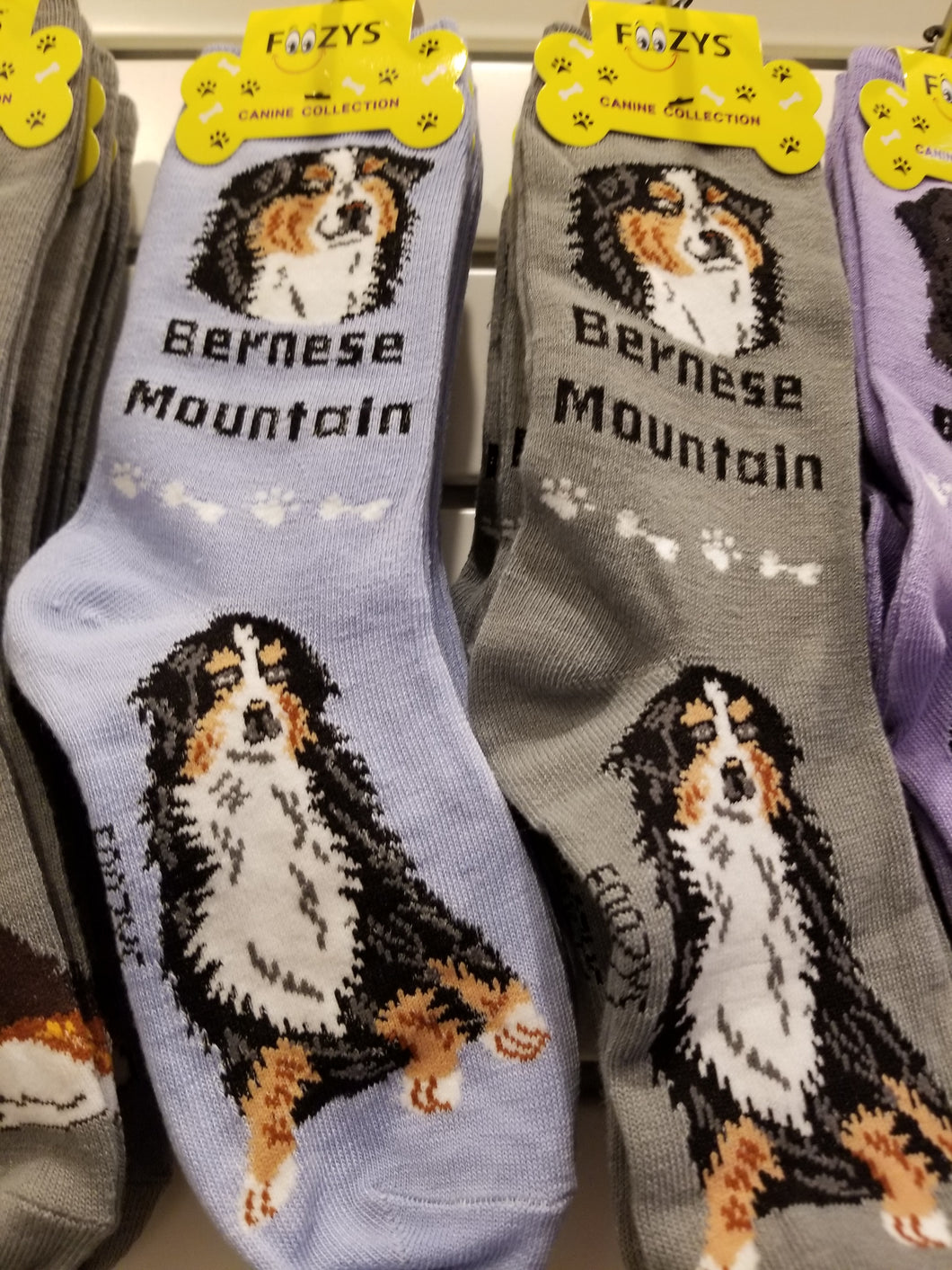 Dog Socks Bernese Mountian