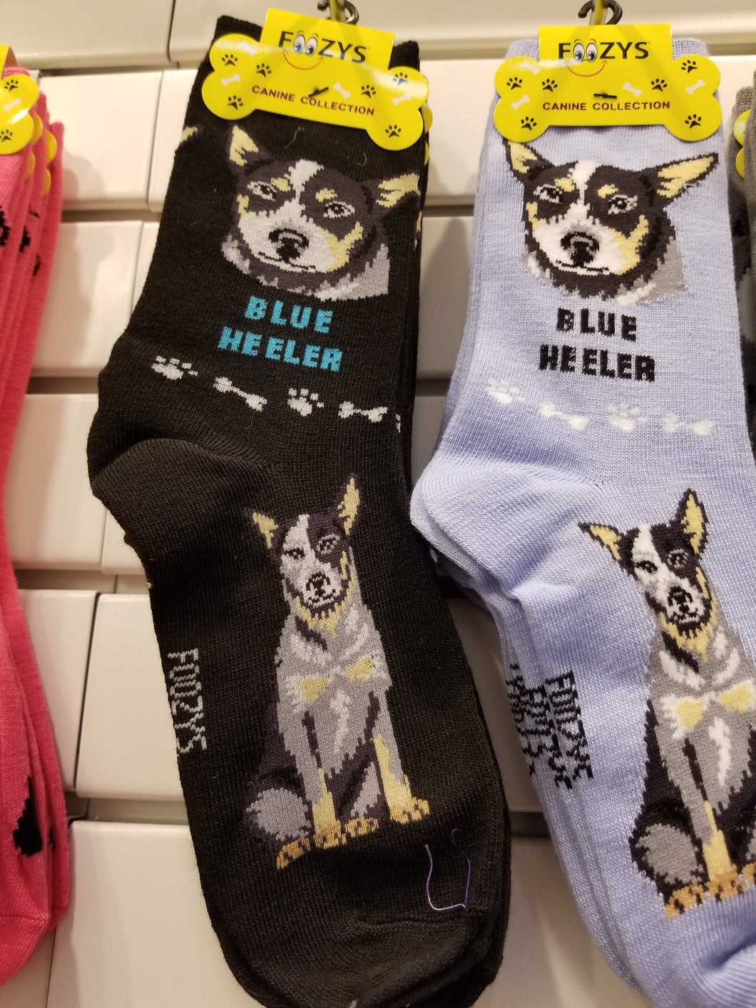 Dog Socks Blue Heeler