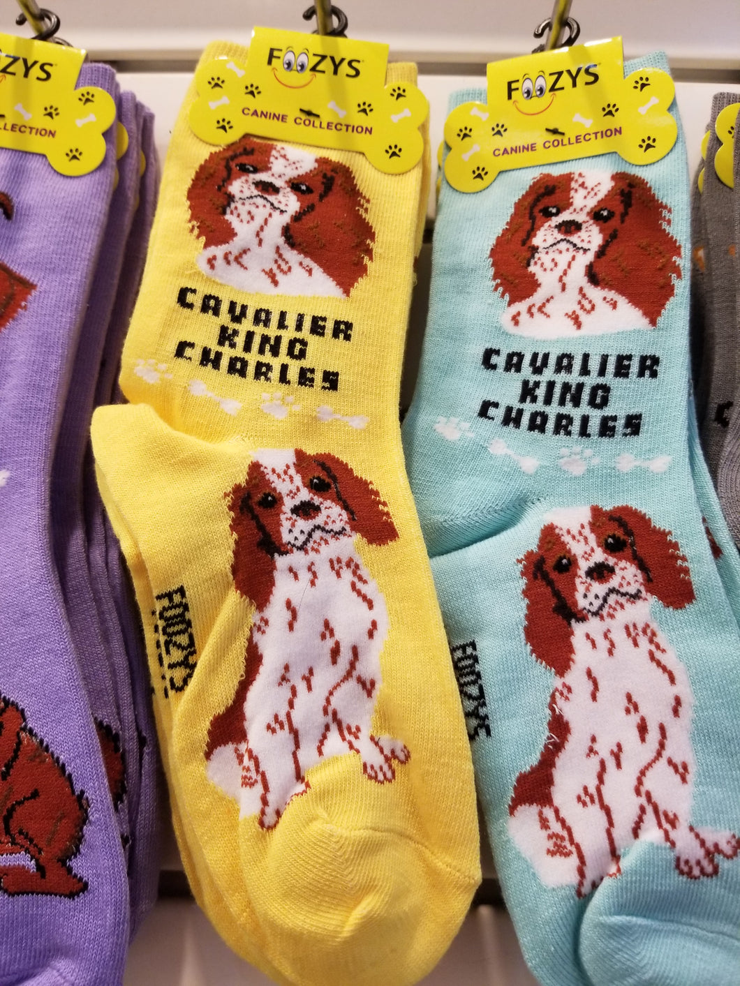 Dog Socks Cavalier King Charles